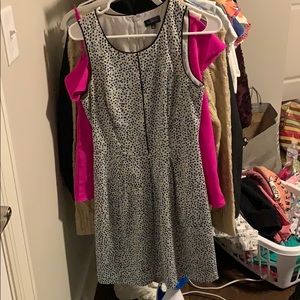 The Limited Polka Dot Dress